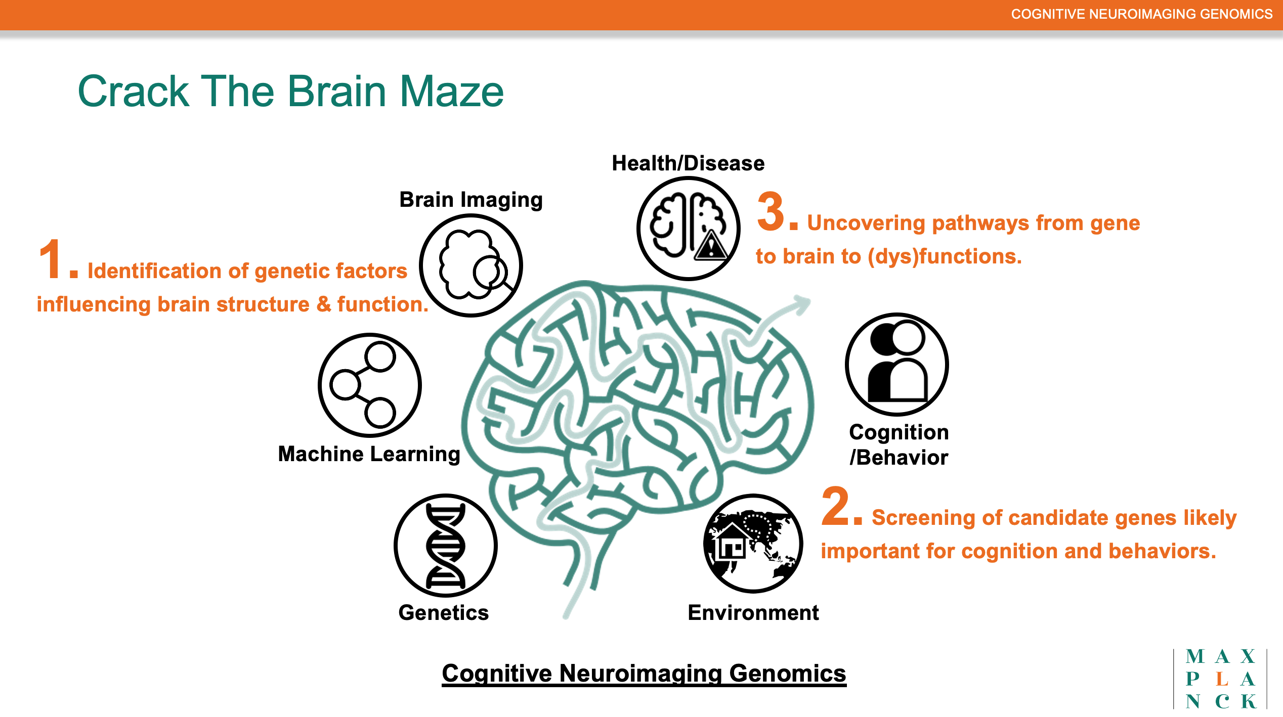 Cognitive Neuroimaging Genomics