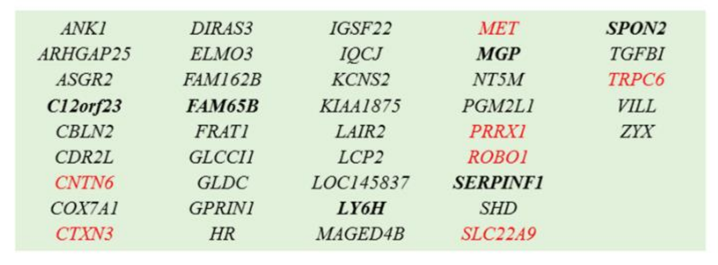 The consensus set of genes